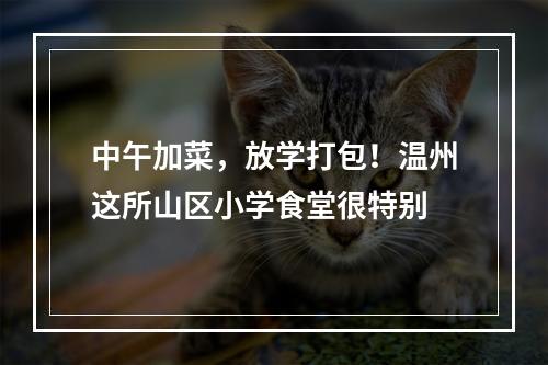 中午加菜，放学打包！温州这所山区小学食堂很特别