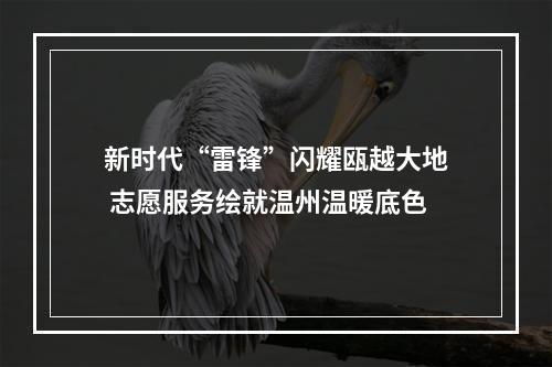 新时代“雷锋”闪耀瓯越大地 志愿服务绘就温州温暖底色