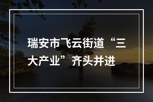 瑞安市飞云街道“三大产业”齐头并进