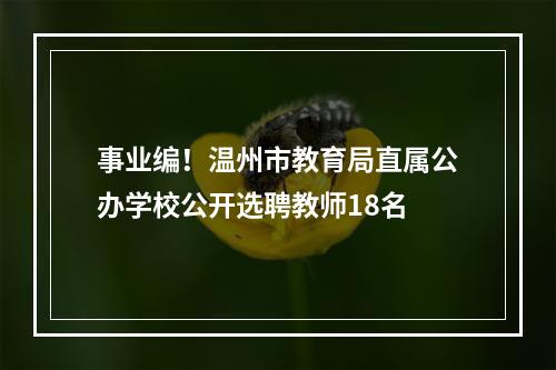 事业编！温州市教育局直属公办学校公开选聘教师18名