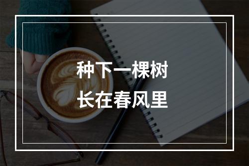 种下一棵树 长在春风里
