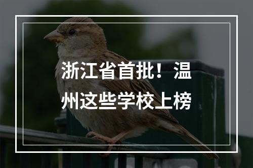 浙江省首批！温州这些学校上榜