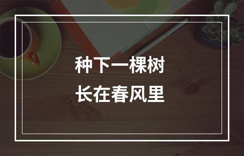 种下一棵树 长在春风里