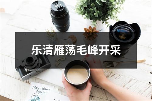 乐清雁荡毛峰开采