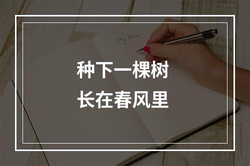 种下一棵树 长在春风里