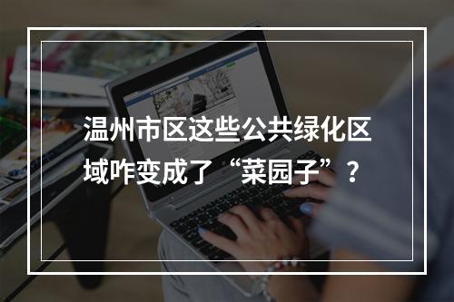 温州市区这些公共绿化区域咋变成了“菜园子”？