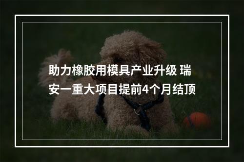 助力橡胶用模具产业升级 瑞安一重大项目提前4个月结顶