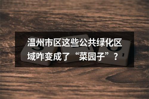 温州市区这些公共绿化区域咋变成了“菜园子”？