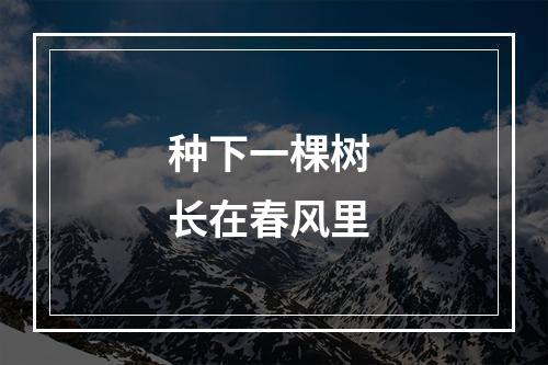 种下一棵树 长在春风里