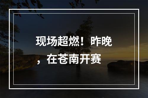 现场超燃！昨晚，在苍南开赛