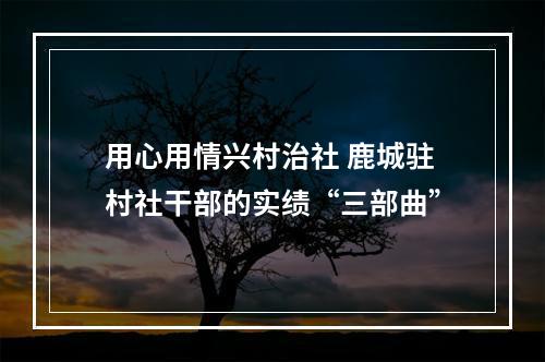 用心用情兴村治社 鹿城驻村社干部的实绩“三部曲”