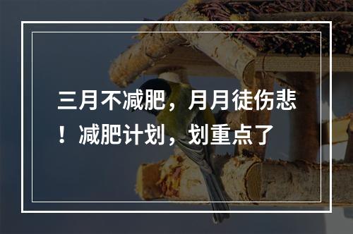 三月不减肥，月月徒伤悲！减肥计划，划重点了