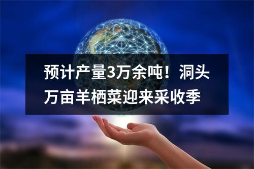 预计产量3万余吨！洞头万亩羊栖菜迎来采收季