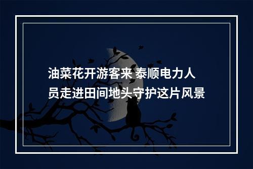 油菜花开游客来 泰顺电力人员走进田间地头守护这片风景