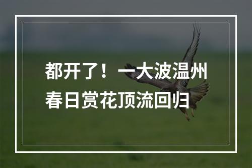 都开了！一大波温州春日赏花顶流回归