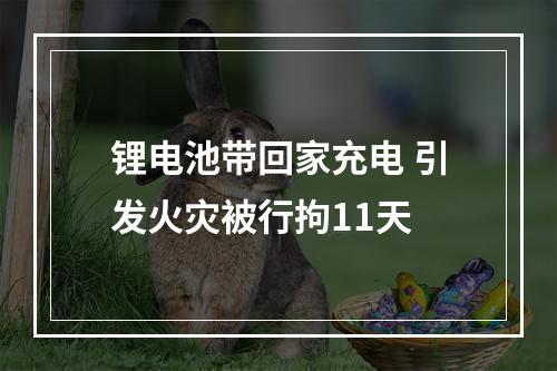 锂电池带回家充电 引发火灾被行拘11天