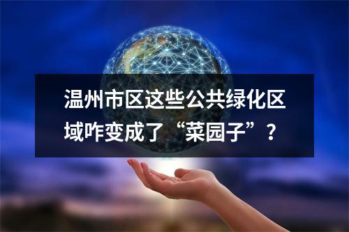 温州市区这些公共绿化区域咋变成了“菜园子”？