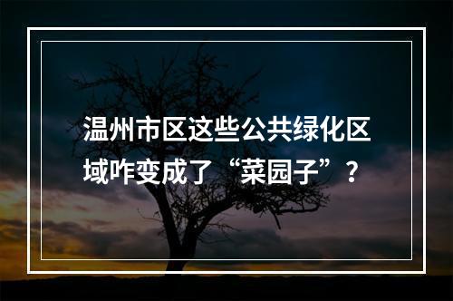 温州市区这些公共绿化区域咋变成了“菜园子”？