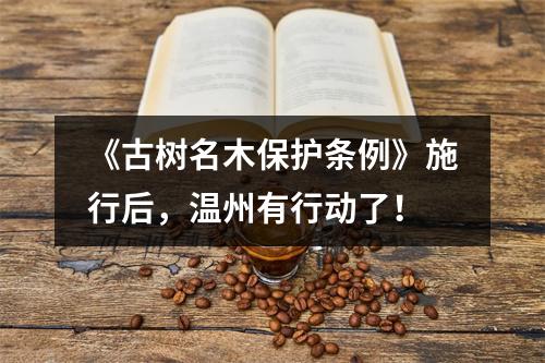 《古树名木保护条例》施行后，温州有行动了！