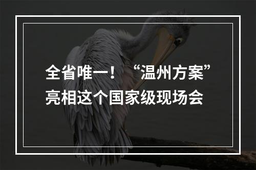 全省唯一！“温州方案”亮相这个国家级现场会