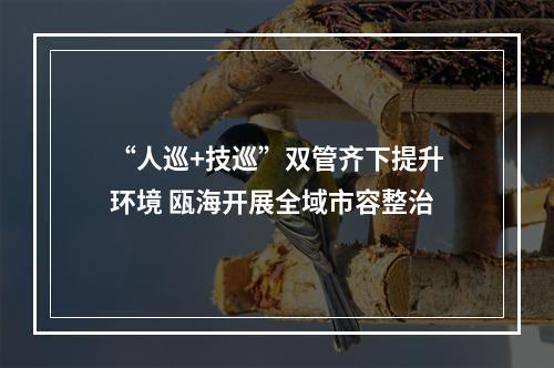 “人巡+技巡”双管齐下提升环境 瓯海开展全域市容整治