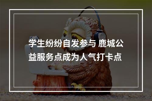 学生纷纷自发参与 鹿城公益服务点成为人气打卡点