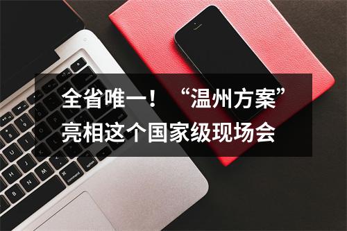 全省唯一！“温州方案”亮相这个国家级现场会