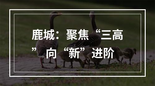 鹿城：聚焦“三高” 向“新”进阶