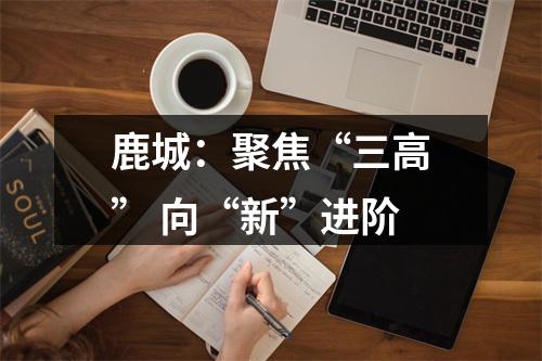 鹿城：聚焦“三高” 向“新”进阶