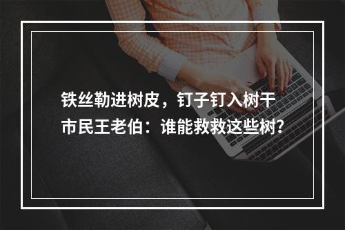 铁丝勒进树皮，钉子钉入树干 市民王老伯：谁能救救这些树？
