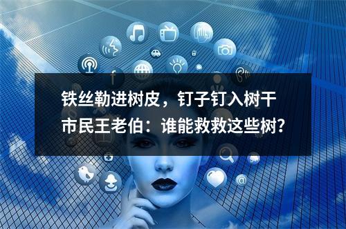 铁丝勒进树皮，钉子钉入树干 市民王老伯：谁能救救这些树？