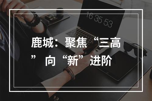 鹿城：聚焦“三高” 向“新”进阶