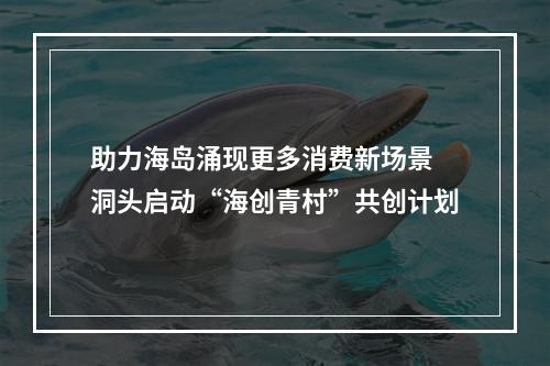 助力海岛涌现更多消费新场景 洞头启动“海创青村”共创计划