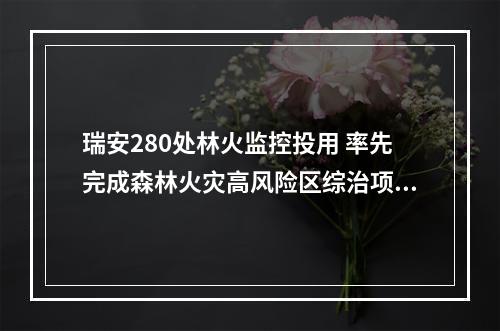 瑞安280处林火监控投用 率先完成森林火灾高风险区综治项目