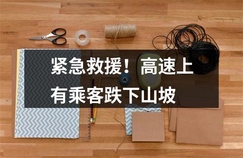 紧急救援！高速上有乘客跌下山坡