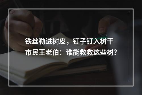 铁丝勒进树皮，钉子钉入树干 市民王老伯：谁能救救这些树？