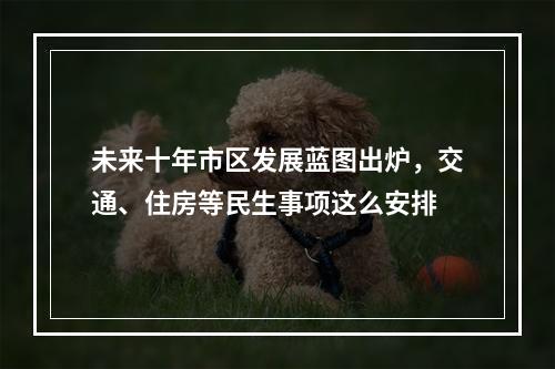 未来十年市区发展蓝图出炉，交通、住房等民生事项这么安排