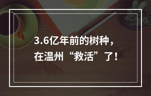3.6亿年前的树种，在温州“救活”了！