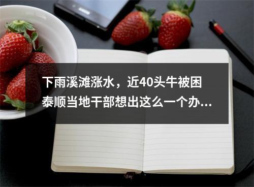 下雨溪滩涨水，近40头牛被困 泰顺当地干部想出这么一个办法……