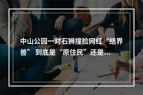中山公园一对石狮撞脸网红“结界兽” 到底是“原住民”还是“外来客”？