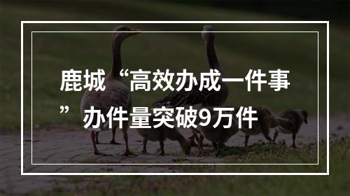 鹿城“高效办成一件事”办件量突破9万件