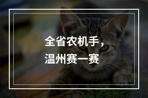 全省农机手，温州赛一赛