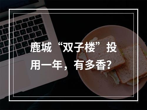 鹿城“双子楼”投用一年，有多香？