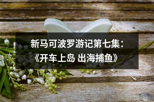 新马可波罗游记第七集：《开车上岛 出海捕鱼》
