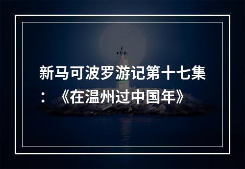 新马可波罗游记第十七集：《在温州过中国年》