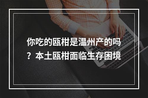 你吃的瓯柑是温州产的吗？本土瓯柑面临生存困境