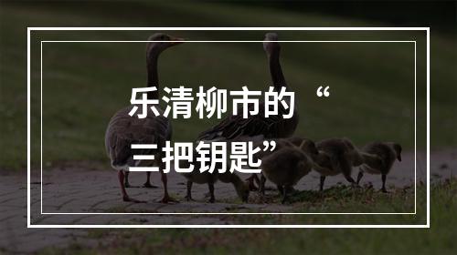 乐清柳市的“三把钥匙”