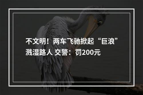 不文明！两车飞驰掀起“巨浪”溅湿路人 交警：罚200元
