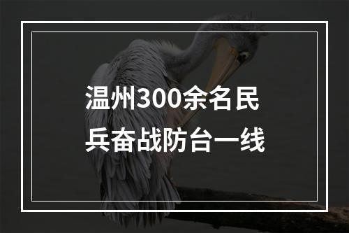 温州300余名民兵奋战防台一线