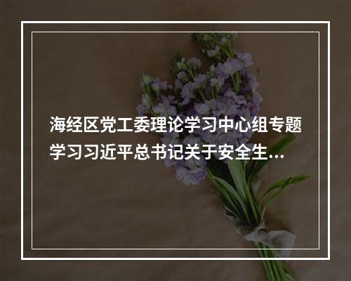 海经区党工委理论学习中心组专题学习习近平总书记关于安全生产的重要论述精神